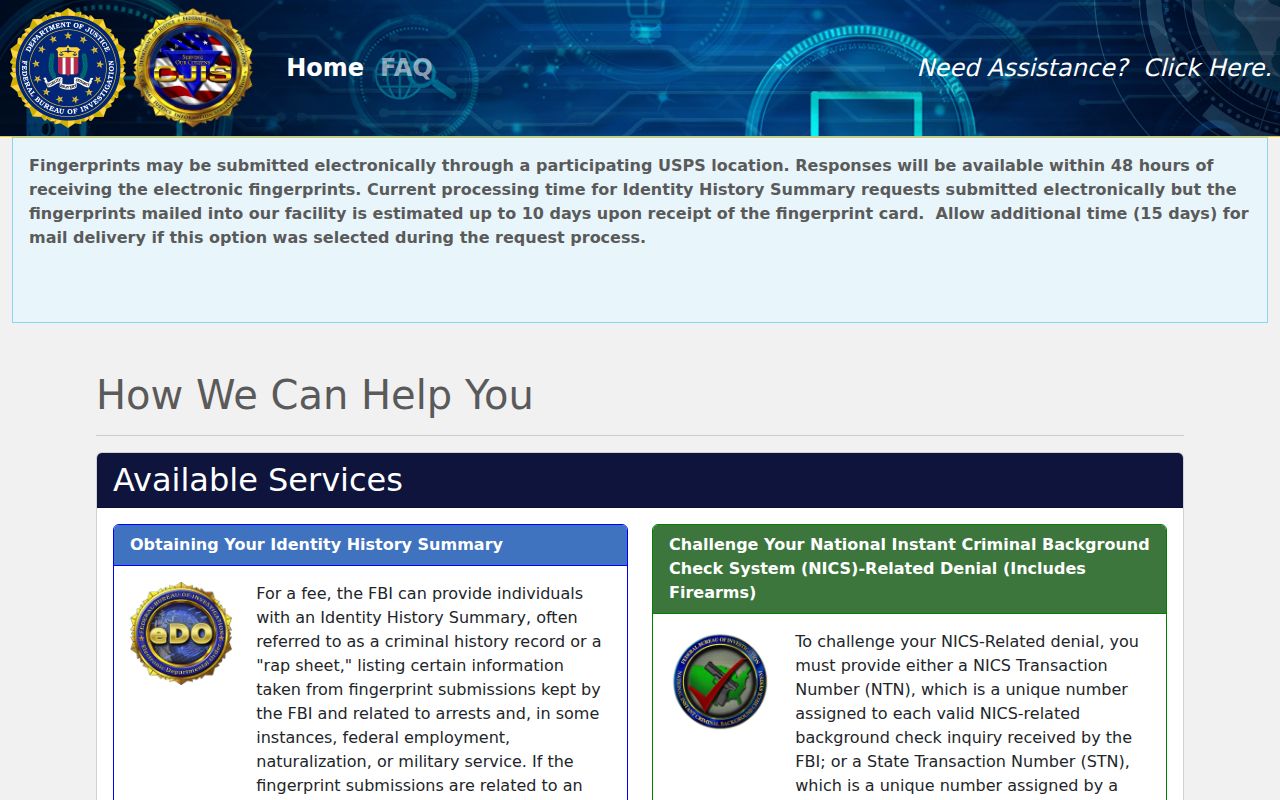 Saginaw County criminal history FBI self-review portal