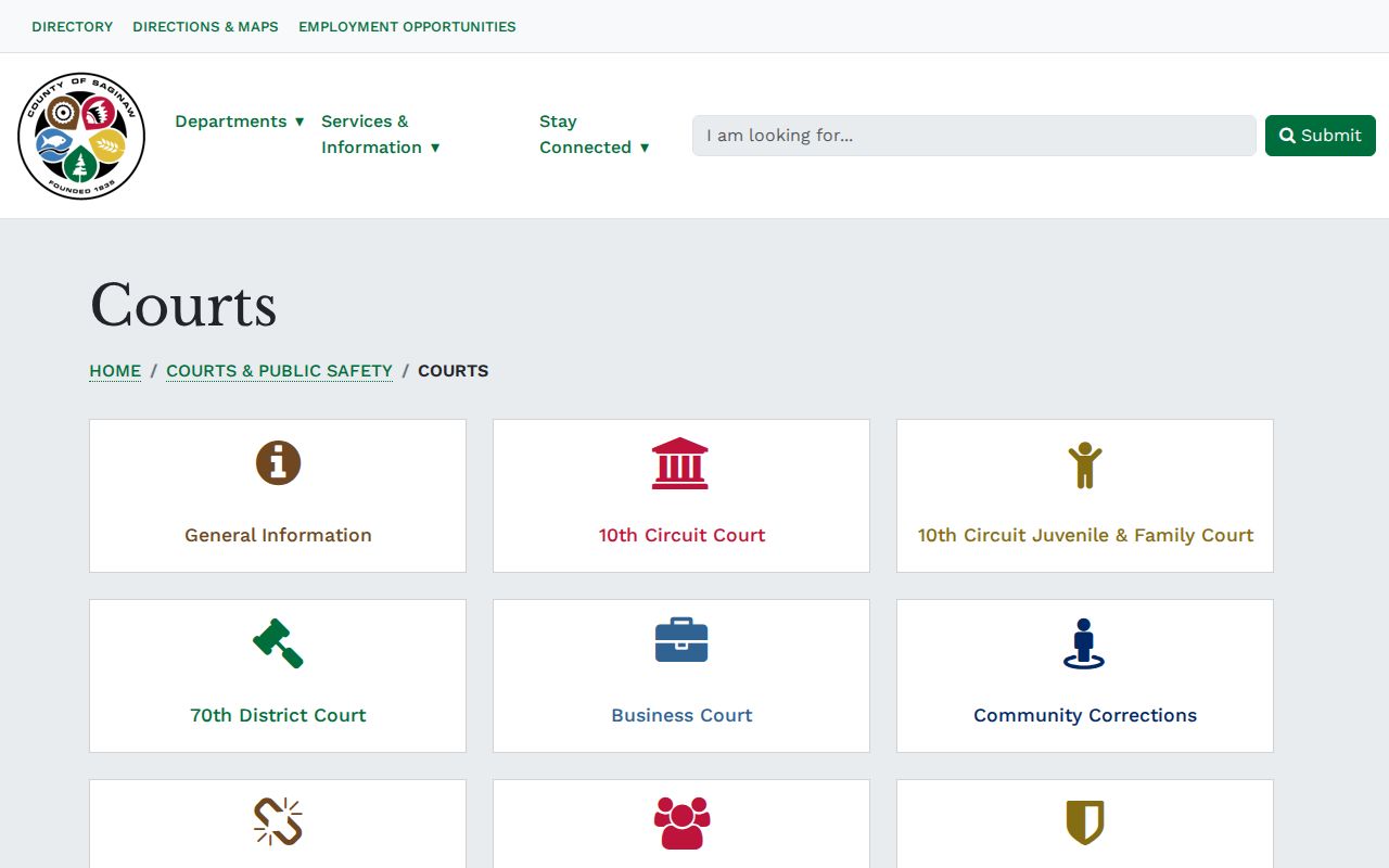 Saginaw County criminal court cases page listing county courts